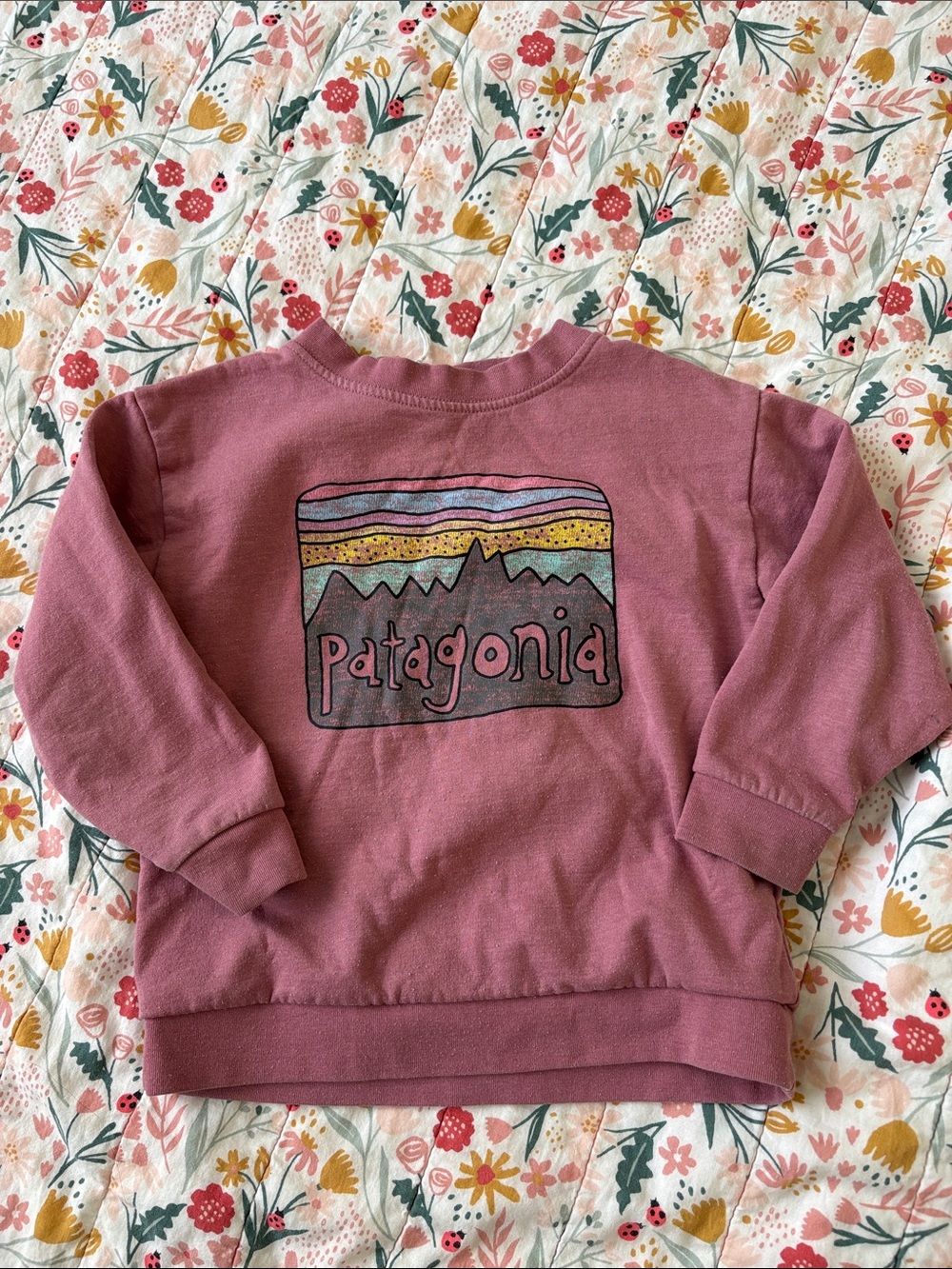 Patagonia Mauve Kids Graphic Crewneck Sweatshirt